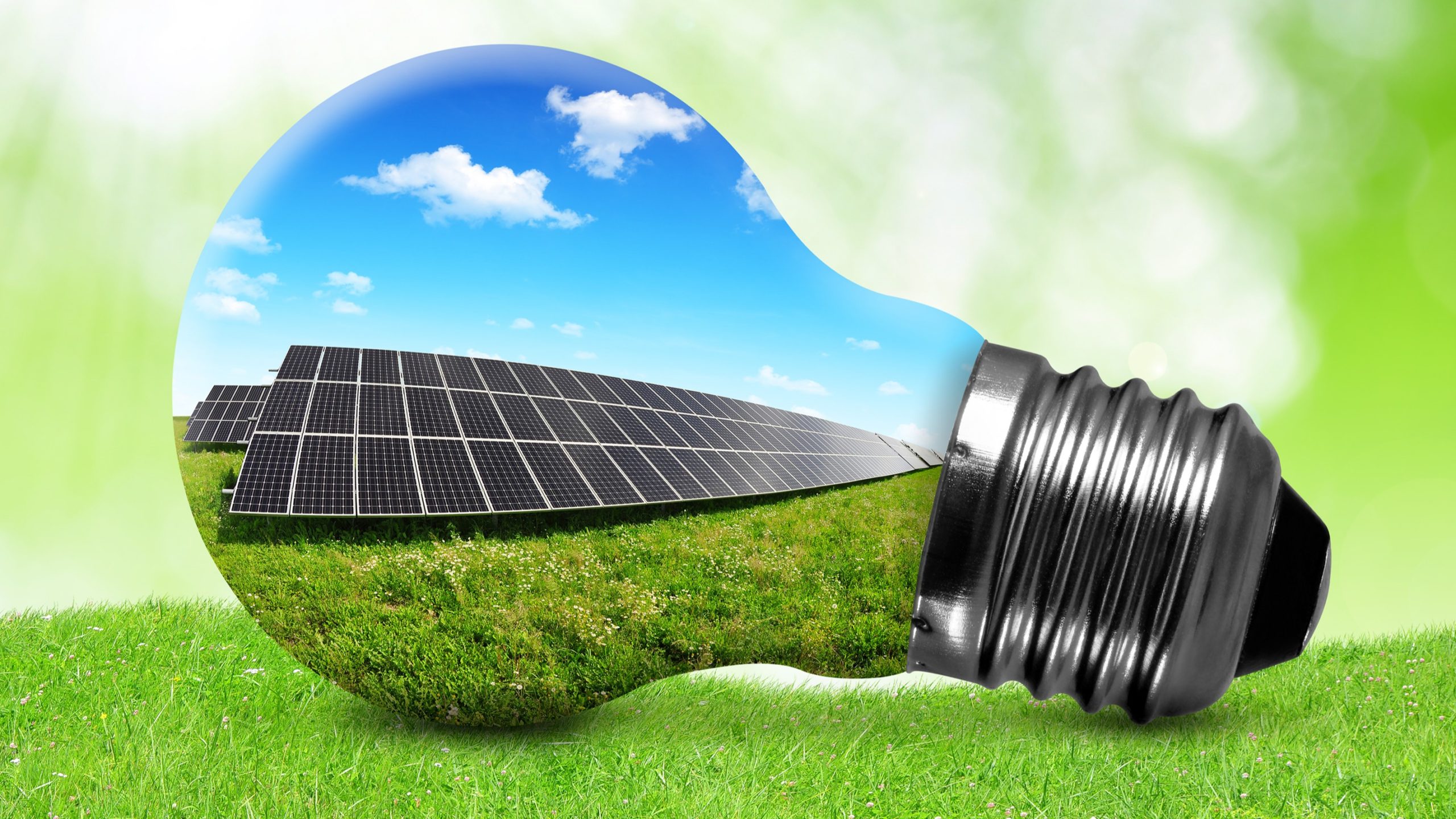 Sustentabilidade